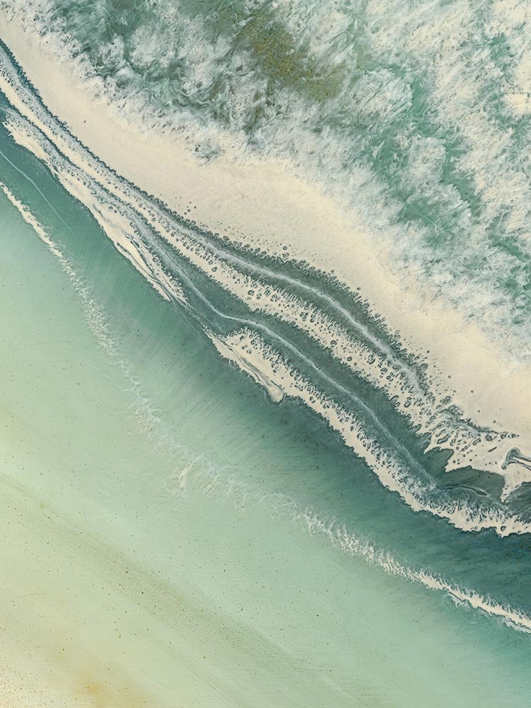 Shallows B - brianahartleyart