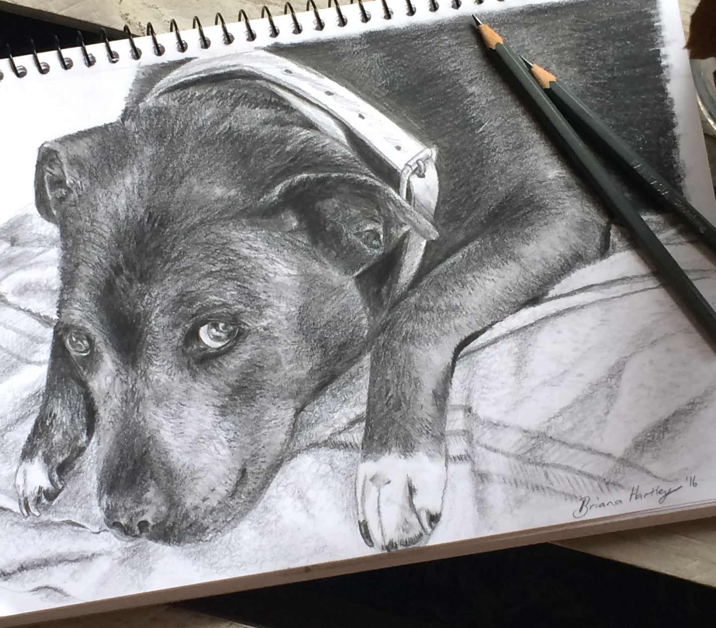 Hand Drawn Pictures 3